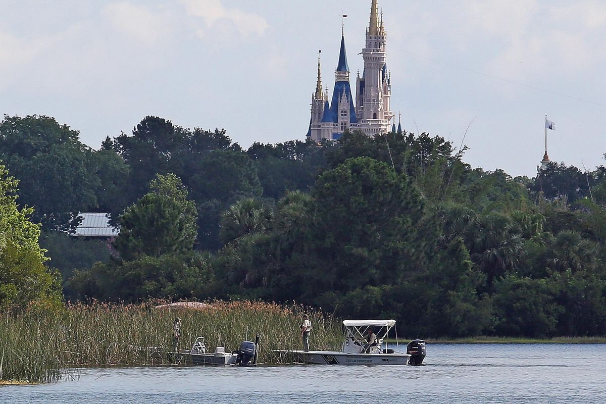 In the shadow of the Magic Kingdom Florida Fish and Wildlife Conservation Officers search for the body of a young boy Wednesday, June 15, 2016 after the boy was snatched off the shore and dragged underwater by an alligator Tuesday night at Grand Floridian Resort at Disney World in Lake Buena Vista, Fla. (Red Huber / Associated Press)