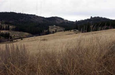 
A developer is seeking a land-use amendment from the county commissioners for the empty field on Honorof Lane. 
 (Liz Kishimoto / The Spokesman-Review)