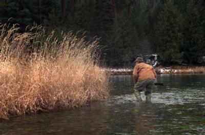 
Improved water conditions in drought-affected Southern Alberta should begin an upward trend in Idaho ducks. 
 (Rich Landers / The Spokesman-Review)