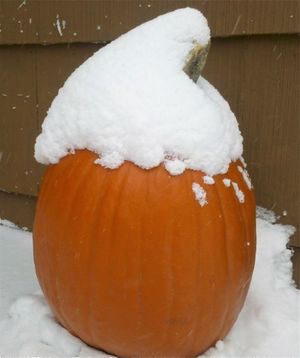 An early November snowfall blankets pumpkins in Spokane (Cheryl-Anne Millsap / Photo by Cheryl-Anne Millsap)