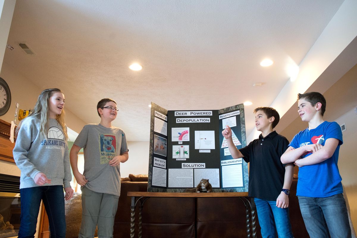 From left, Brigitta Maughan, 12, Deen Abou-Harb, 13, Blake Busch, 12, and Ryan Cox, 12, with their deer population control project in Spokane Valley. (Tyler Tjomsland / The Spokesman-Review)