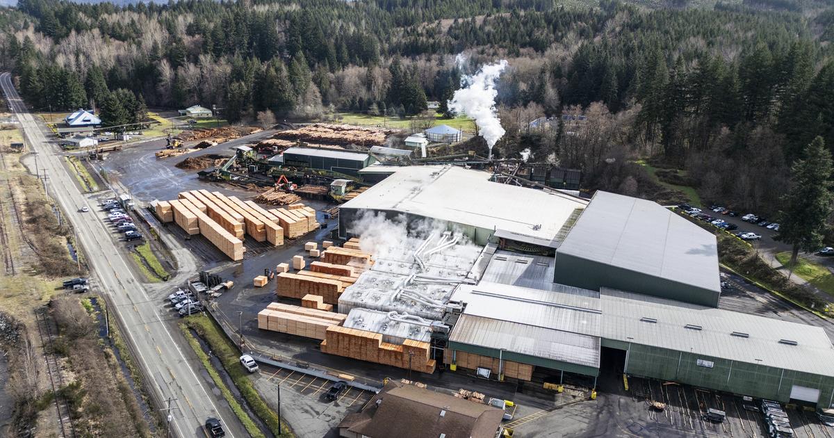 WA timber industry buffeted by regulations, trade war