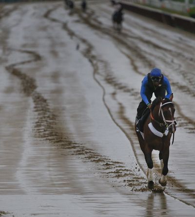 Preakness runner-up Tale of Verve works out on sloppy Belmont track. (Associated Press)