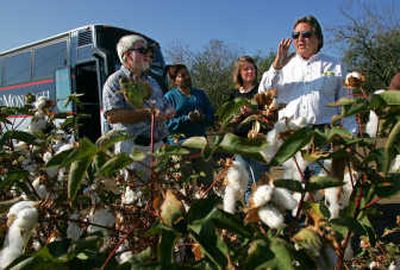 
Cotton farmer Frank Williams, far right, discusses the future of the crop  with Paul Schnepf, far left, and Nicole Mattern, second from right, Friday in Fresno, Calif. Associated Press
 (Associated Press / The Spokesman-Review)