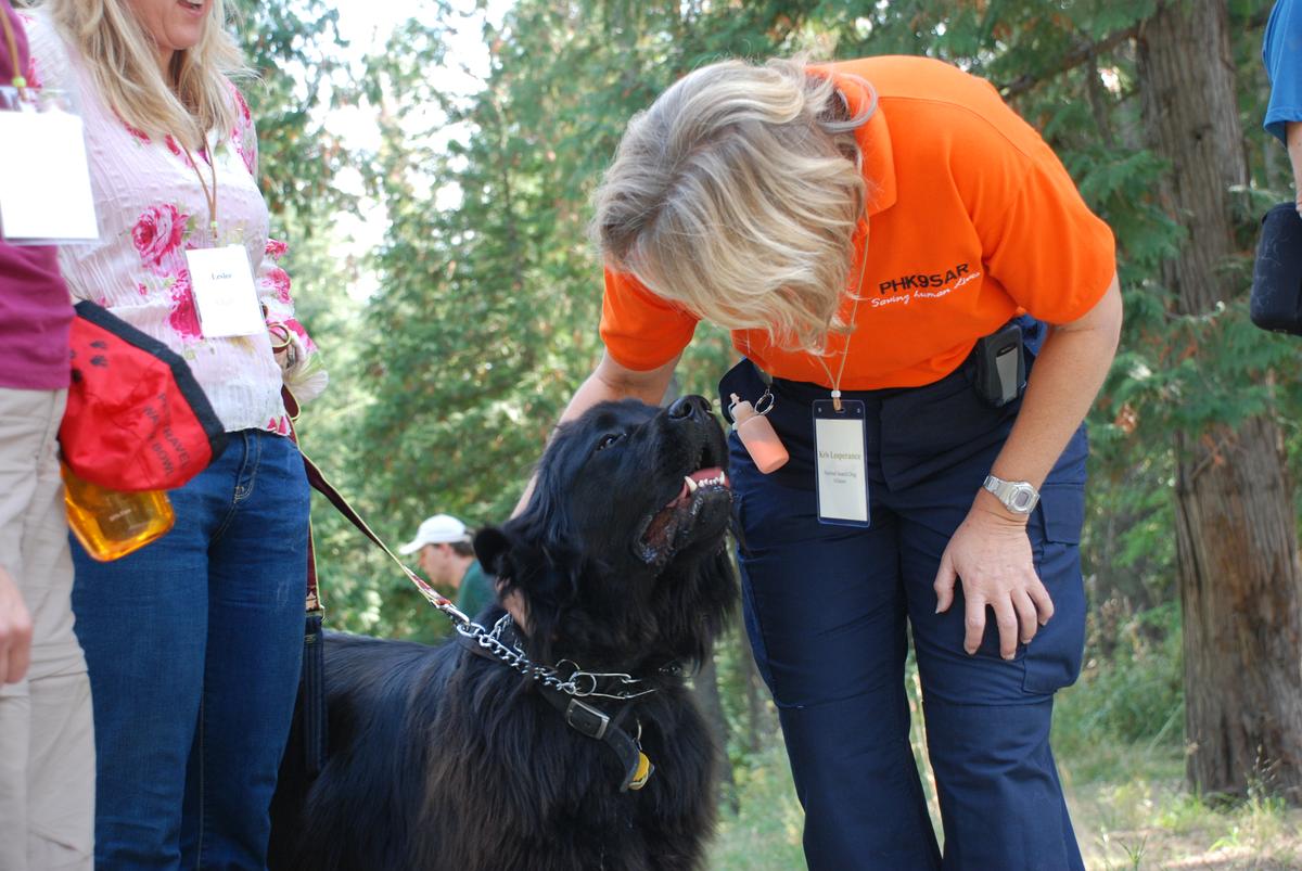 Dogs trained to sniff out invasive species harbored on boats | The ...