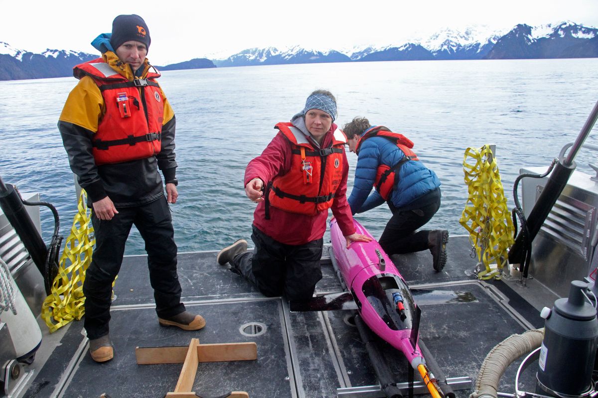 This May 4, 2022, photo shows oceanographers Andrew McDonnell, left, and Claudine Hauri, middle, along with engineer Joran Kemme after an underwater glider was pulled aboard the University of Alaska Fairbanks research vessel Nanuq from the Gulf of Alaska. The glider was fitted with special sensors to study ocean acidification.  (Mark Thiessen)