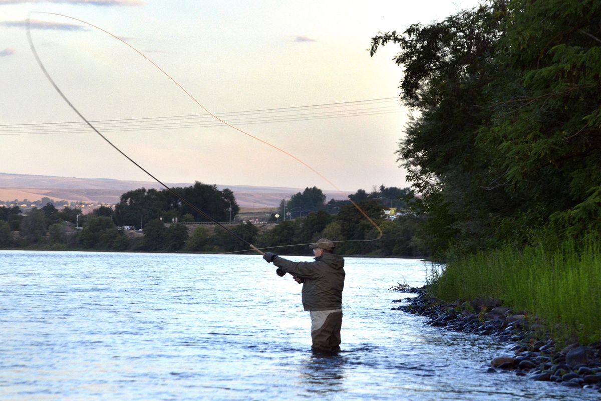 Ron Neilson makes a cast into the lower Clearwater River in his quest to land July steelhead. (ERIC BARKER Lewiston Tribune)
