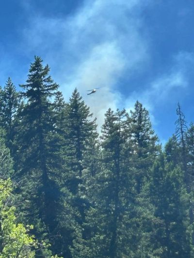Naches Fire Department crews responded Saturday to the scene of a crashed military aircraft, which sparked a wildfire, near Rimrock Lake in Yakima County. The pilot safely ejected and was taken to a hospital.  (Naches Fire Department)