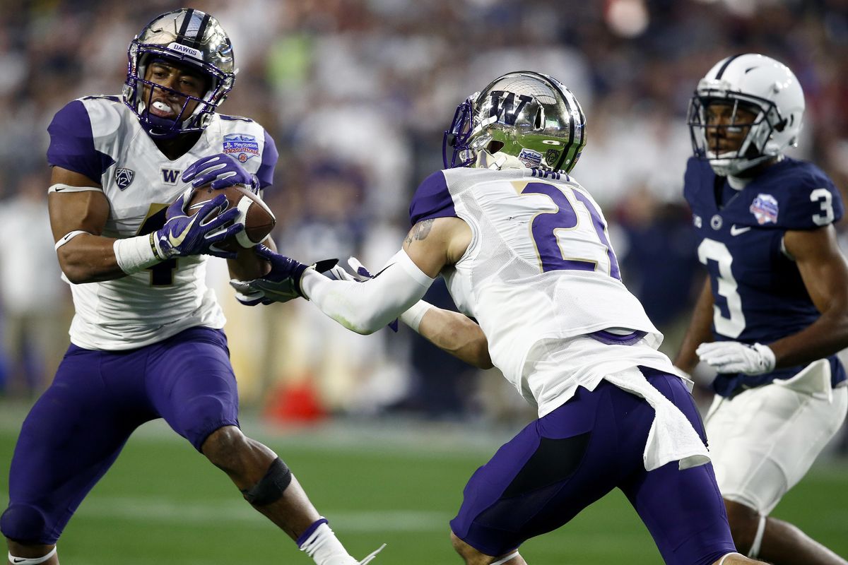 Fiesta Bowl: Washington's Vita Vea grows into Pac-12 Defensive