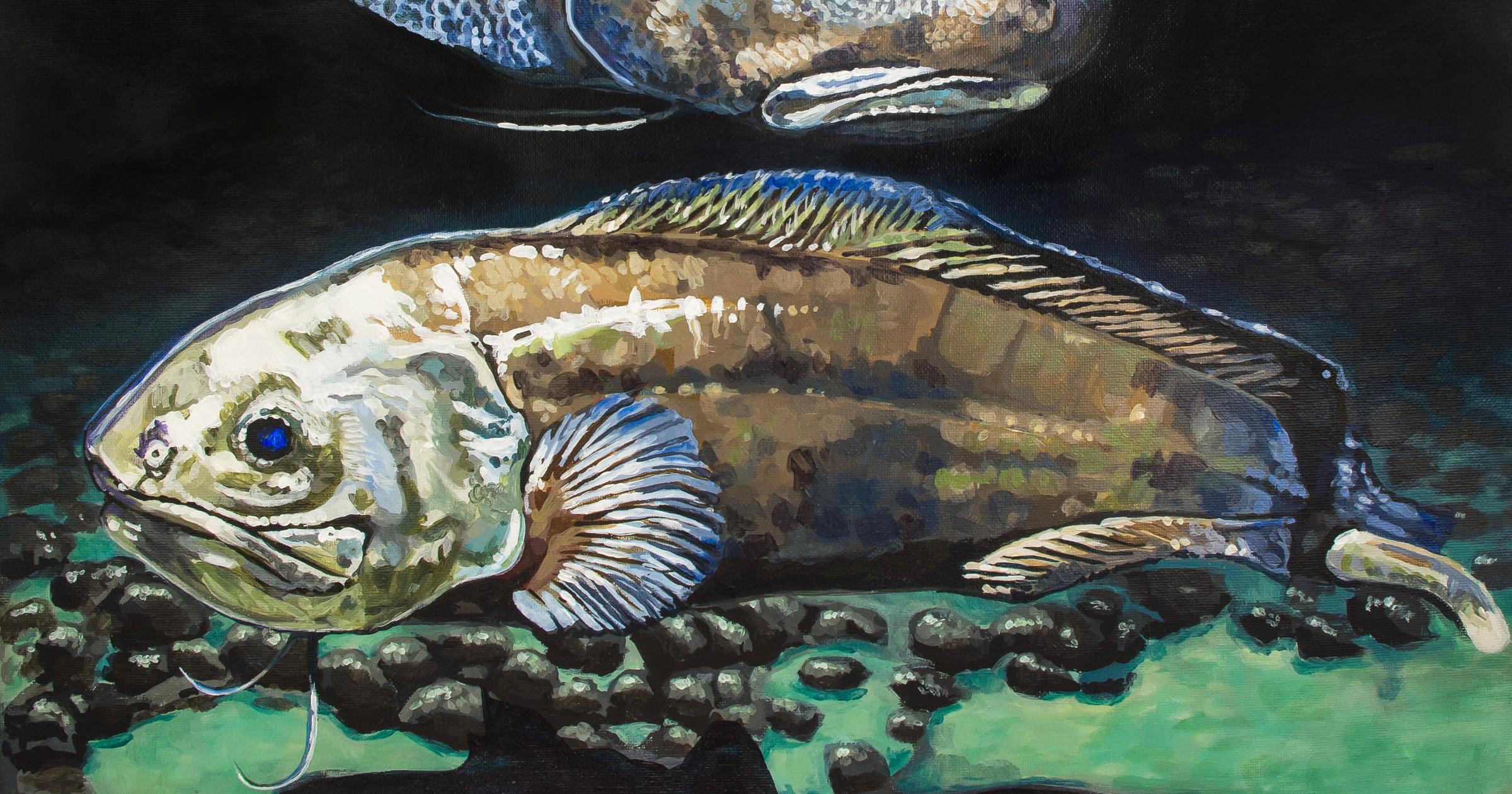 Meghan Jones demystifies deep-sea creatures in children's book 'The Unusual Ocean"