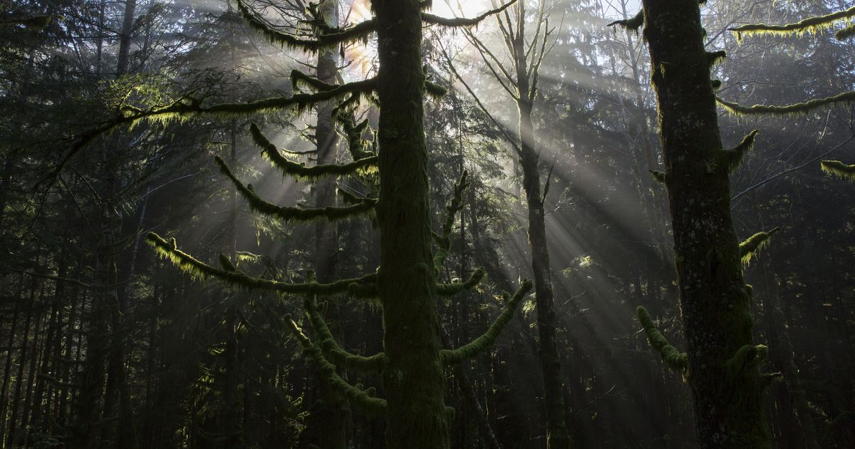 Washington state braces for ‘Inevitable’ Megafire. Climate change may bring it sooner.