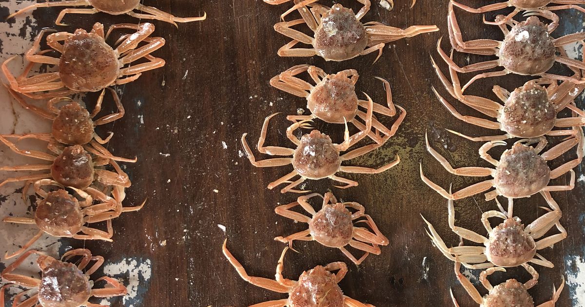 Alaska snow crab harvest slashed by nearly 90 after population crash in a warming Bering Sea