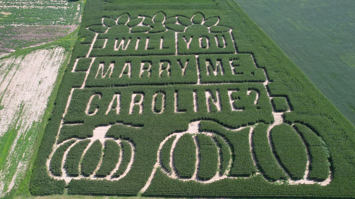 A message grown into an Ohio cornfield by Tim Sullivan is seen from an airplane, which he used to fly over the message with his now-fiancée Caroline Liggett.  (Photo by Caleb Sullivan/Photo by Caleb Sullivan)