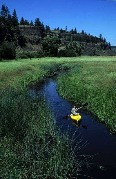 Rock Creek, shown here as it flows out of Bonnie Lake, forms the core of premier wildlife habitat running through the scablands. Bonnie Lake straddles the Spokane-Whitman county line. Although surrounded by private land, it’s accessible to the public by boating up this narrow outlet for about seven-tenths of a mile. (Rich Landers)