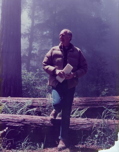 Cecil Andrus -- governor of Idaho in 1971-1977 and 1987-1995 and Interior secretary in 1977-81 -- pauses in the Redwoods in the mid-1970s. 
 (Cheryl Oestreicher / Boise State University Special Collections and Archives)