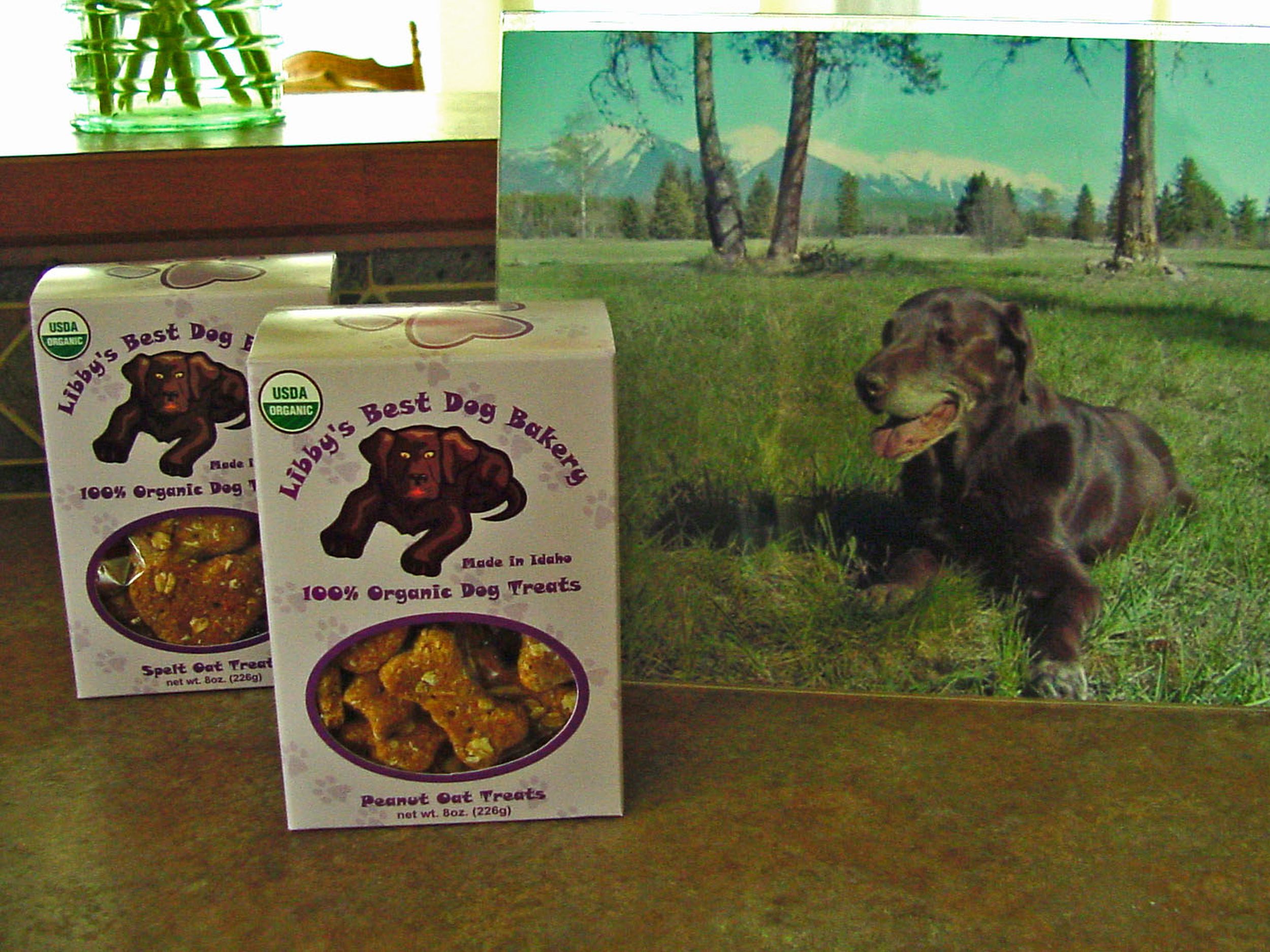 Organic healthy dog clearance treats