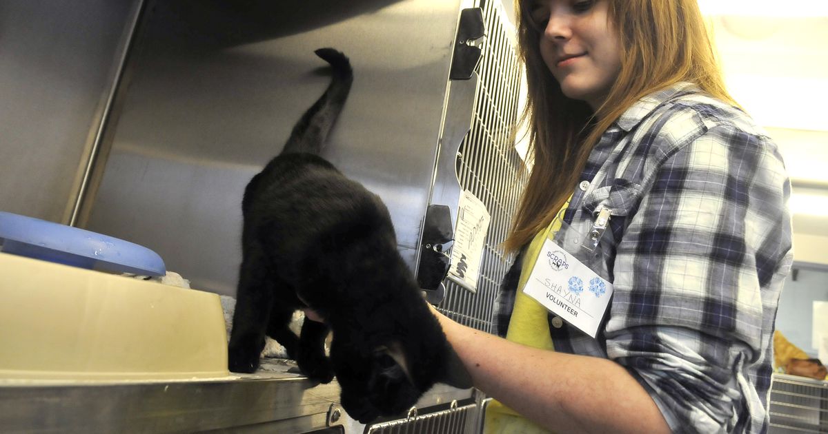 Despite continued concerns about euthanasia policies, Spokane approves new contract with SCRAPS