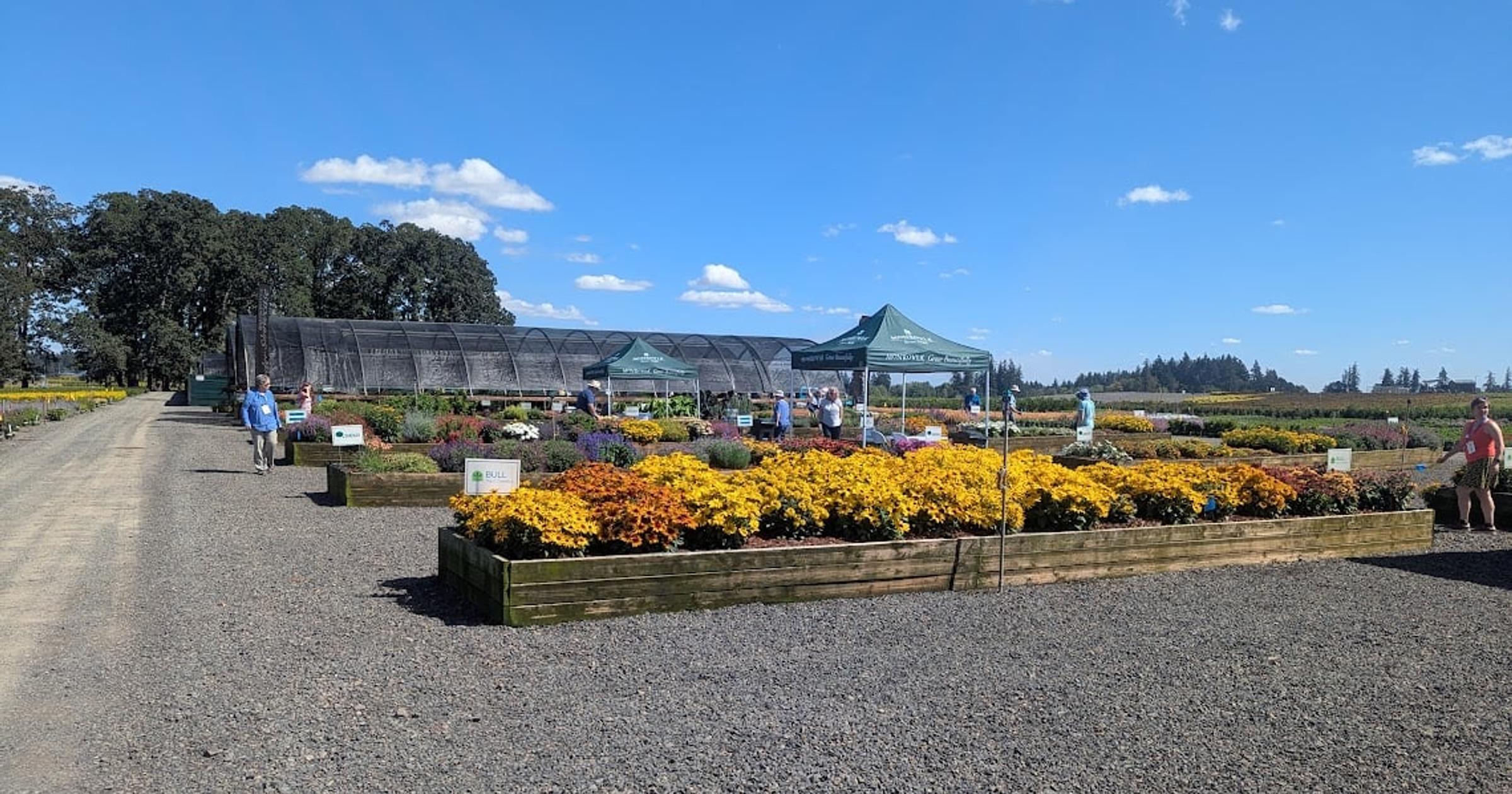 Gardening: Conference gives a chance to visit nurseries that supply many of our plants