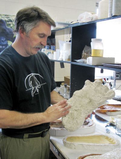 
In his lab at Idaho State University in Pocatello, Jeffrey Meldrum displays what he says is  a casting of a footprint from a Bigfoot taken in the Blue Mountains in southeastern Washington. 
 (File Associated Press / The Spokesman-Review)