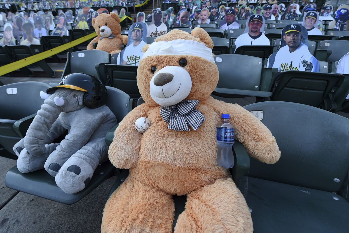T. Bear holds a ball while sitting in his seat before the Oakland Athletics meet the Los Angeles Angels on Aug. 21 at the Coliseum in Oakland. The night before, T. Bear was drilled in the noggin with a liner off the bat of Arizona’s Ketel Marte, but bounced right back up with a smile.  (JOSE CARLOS FAJARDO)