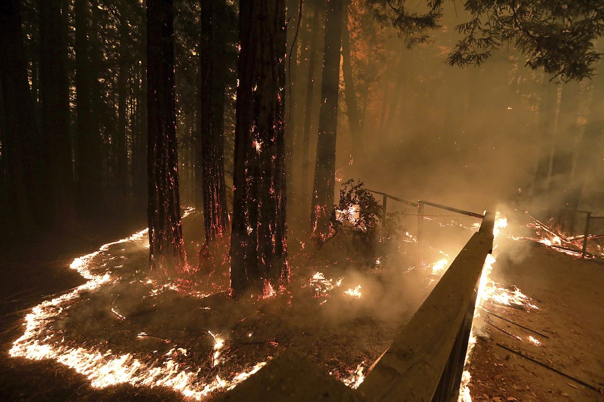 FILE - In this Aug. 20, 2020, file photo The CZU August Lightning Complex fire consumes trees and a fence along Empire Grade Road in the Santa Cruz Mountains community of Bonny Doon near Santa Cruz, Calif. Months-old embers from a deadly California fire were blown back to life Tuesday, Jan. 19, 2021, by powerful winds that raked the state and prompted safety blackouts to tens of thousands of people. The state