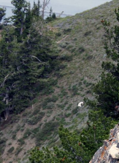 This July 15, 2012, image provided by Coty Creighton shows the 