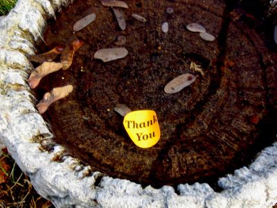 Talk about sticker shock.  Courtesy of Denise Chamberlain (Courtesy of Denise Chamberlain / The Spokesman-Review)