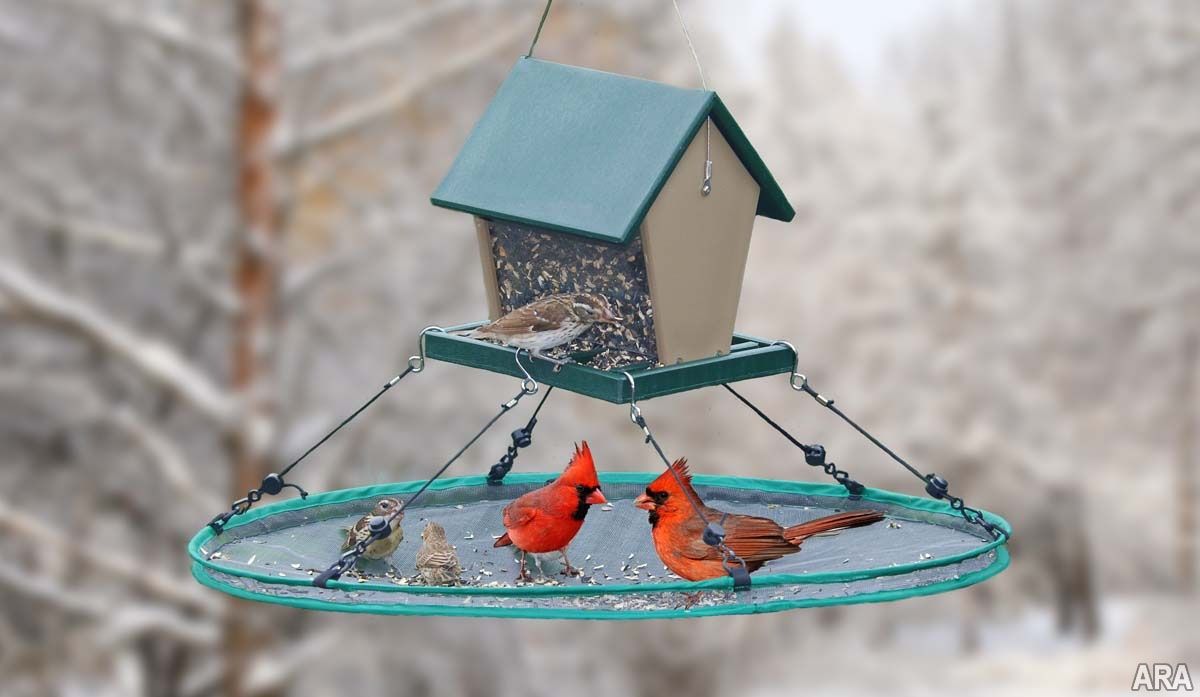 A seed hoop will catch a lot of spilled seed, to help keep the area clean. (ARAcontent)