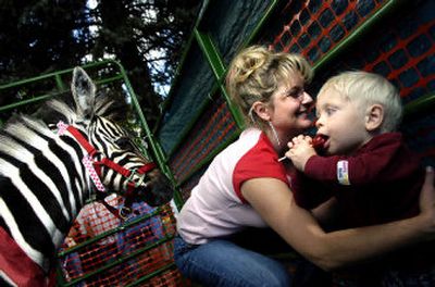 
Nine-week-old Maggie Mae, a mental health therapy zebra, and 1-year-old Ray Owens, of Careywood, Idaho, make eye contact as social worker Kristina Nicholas Anderson lifts Owens at Athol Daze in Athol, Idaho, on Saturday afternoon. 
 (Holly Pickett / The Spokesman-Review)