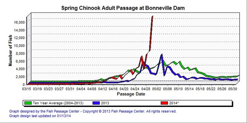 Spring chinook counts over Bonneville Dam as of April 30, 2014. (Fish Passage Center)