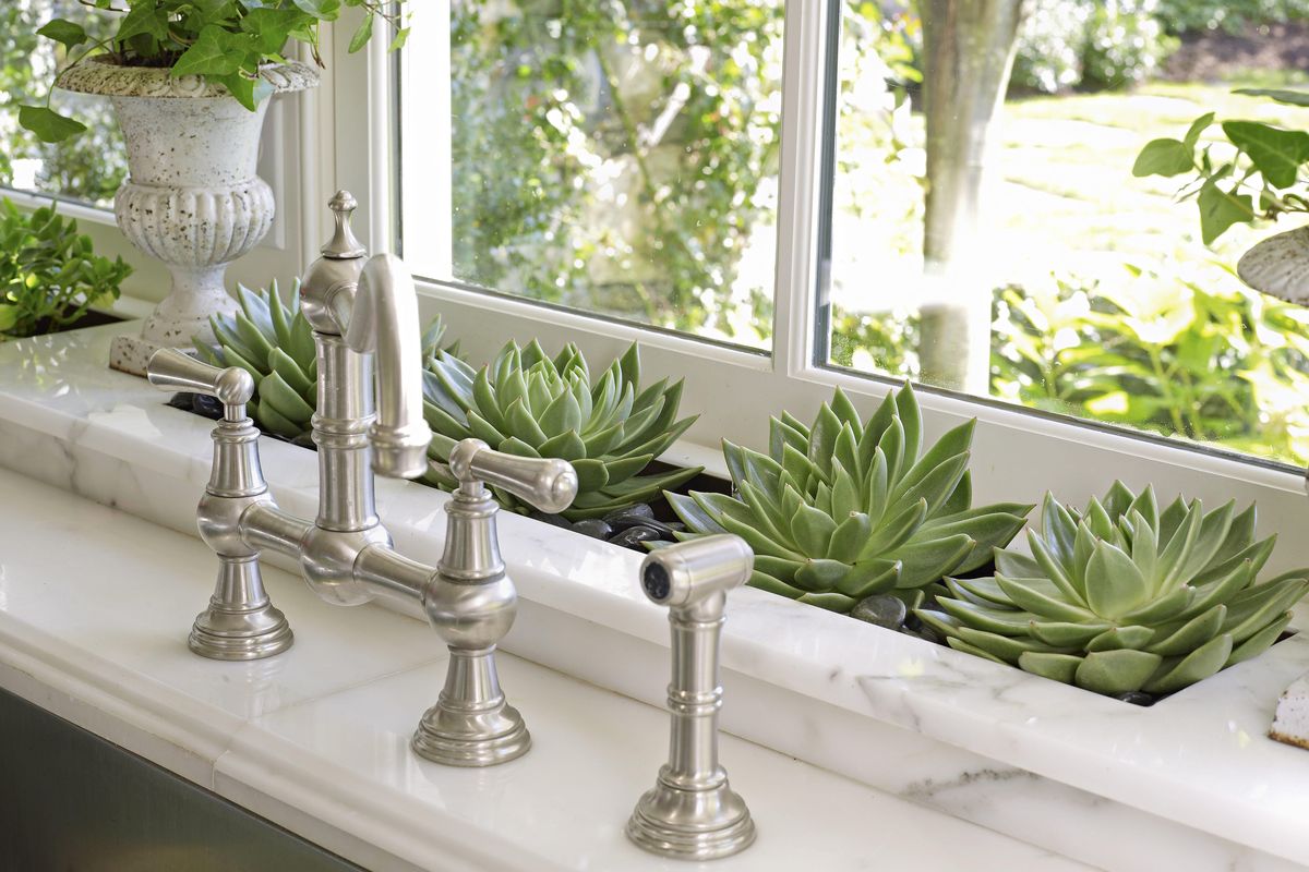 Indoor plant displays: built-ins, wall pockets and more