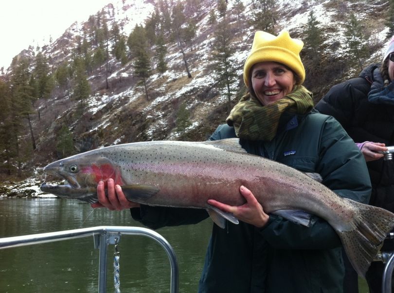A contestant caught this nice steelhead from the Salmon River during the 2011 Women with Bait fishing derby based out of Riggins, Idaho. (River Adventures)