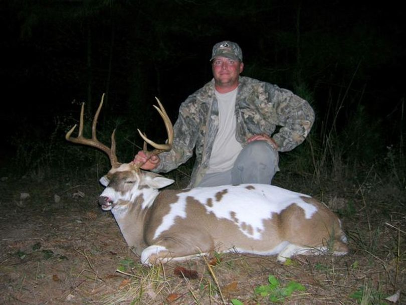 James Curtis of Bellville, Tex., shot this rare piebald whitetail on a private ranch during the deer hunting season on Nov. 2, 2008. (Anonymous)