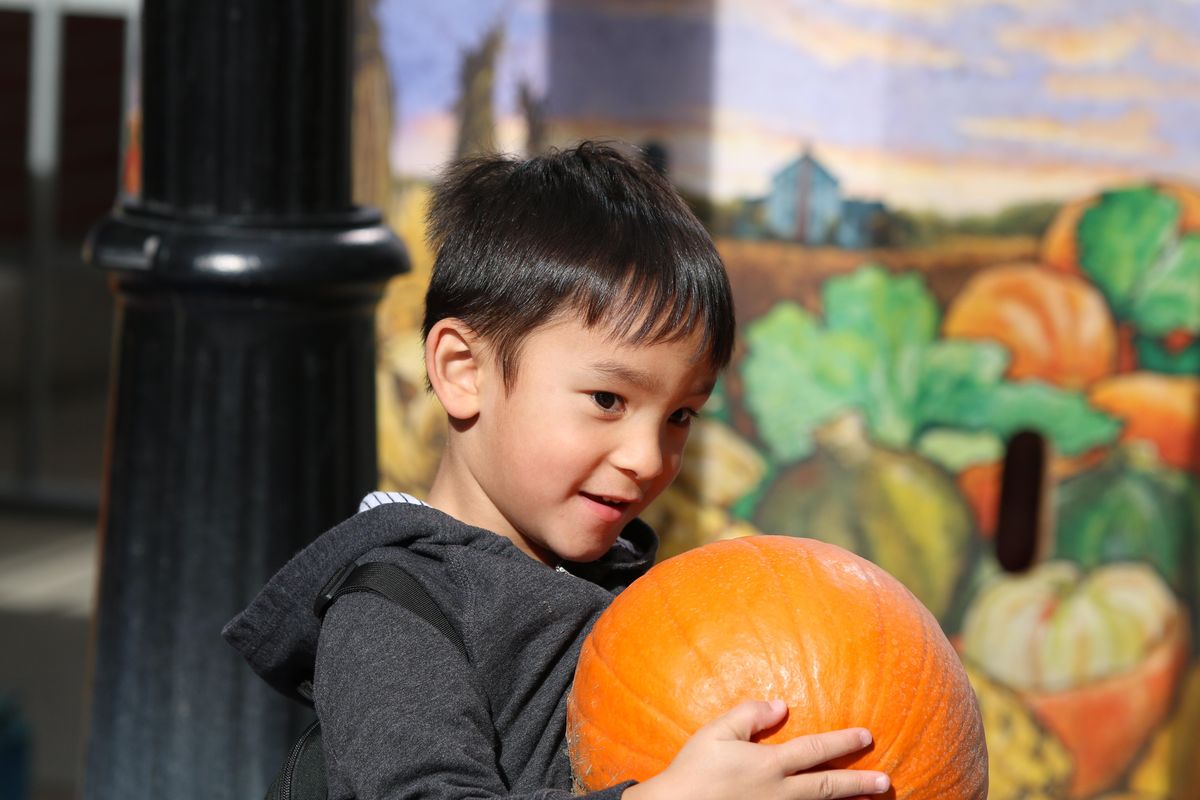 A child selects a pumpkin during last year’s Fall Fest. (Courtesy of Downtown Spokane)