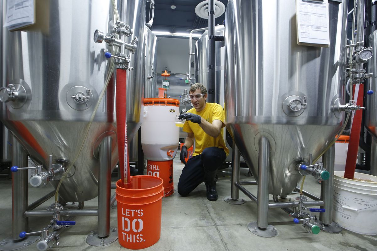 Assistant brewer and chemistry major Stephen Moser, 23, checks a fermentation process March 19 at the recently opened Innovation Brew Works at California State Polytechnic University, Pomona in Pomona, Calif. (Associated Press)