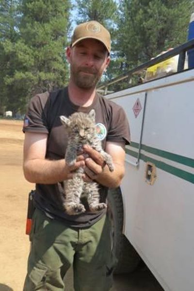 Fire crew member holds 