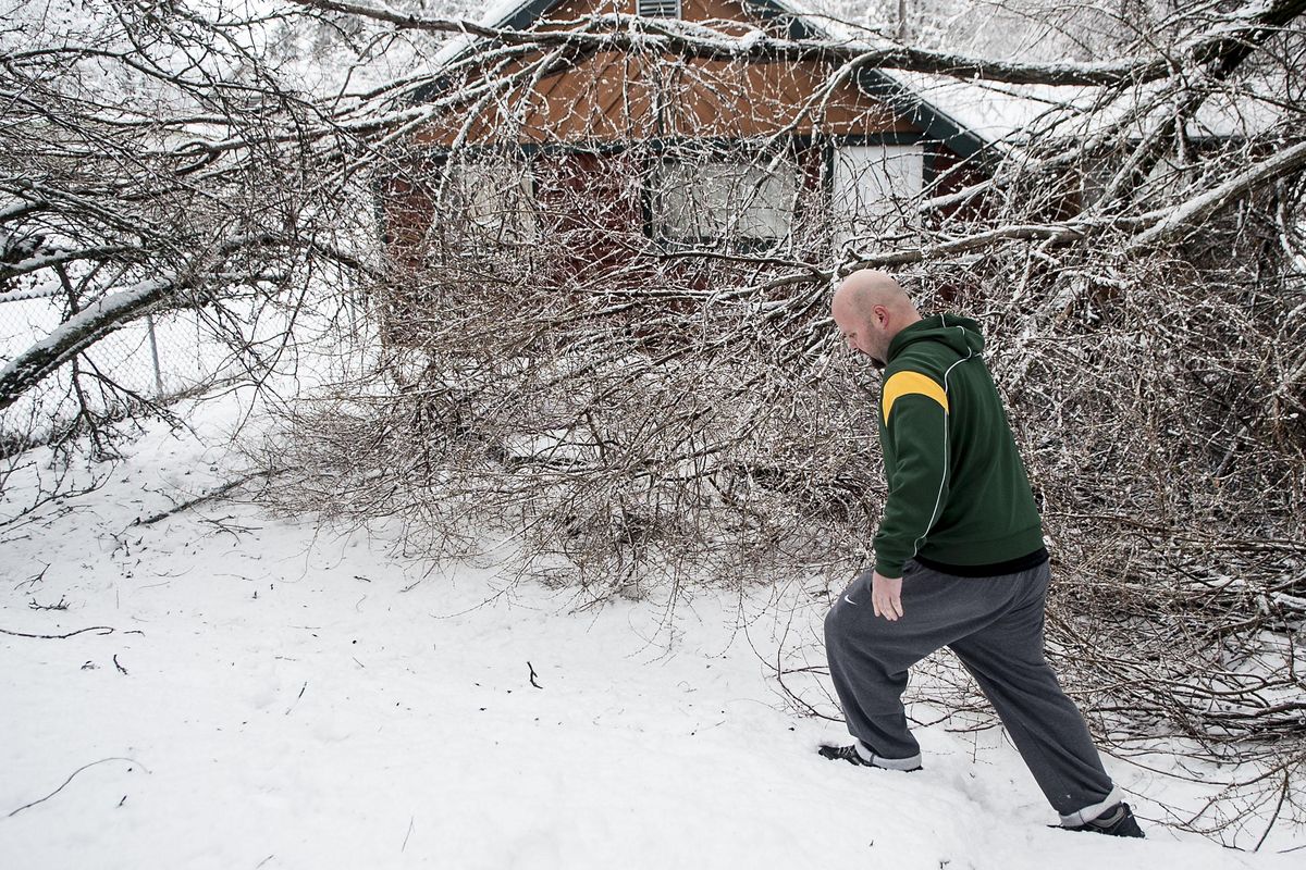 Scott McNeill surveys the damage caused when heavy snow toppled part of a tree in front of his house in Coeur d’Alene on Tuesday, December 22, 2015. (Kathy Plonka / The Spokesman-Review)