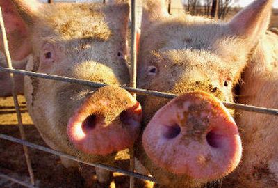 
 He's hogging all the good lines. 
 (The Spokesman-Review)