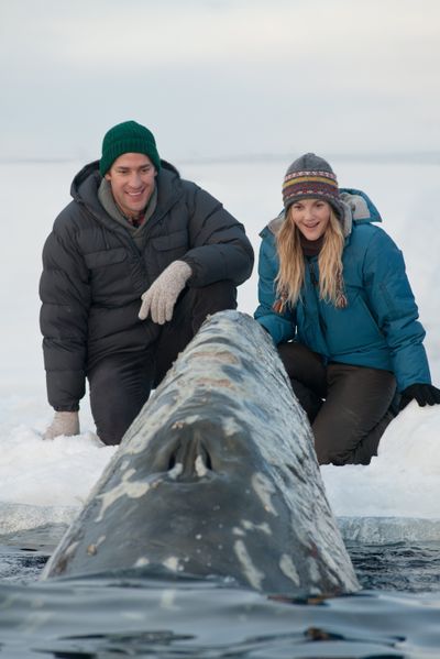John Krasinski, and Drew Barrymore are shown in a scene from “Big Miracle,” a film about the rescue of a family of gray whales trapped by rapidly forming ice in the Arctic Circle.