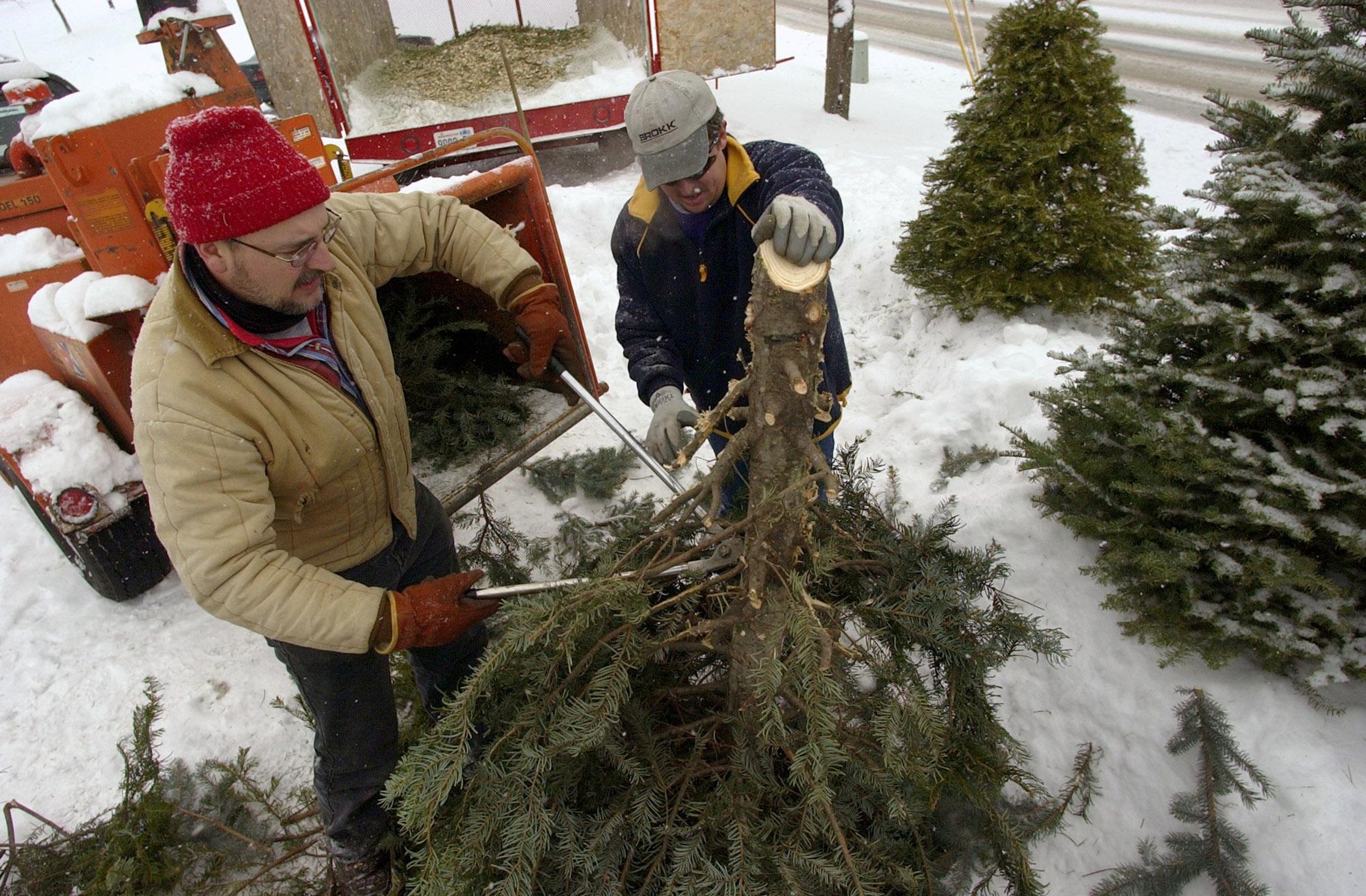 How to get rid of your Christmas tree in Spokane, Kootenai counties