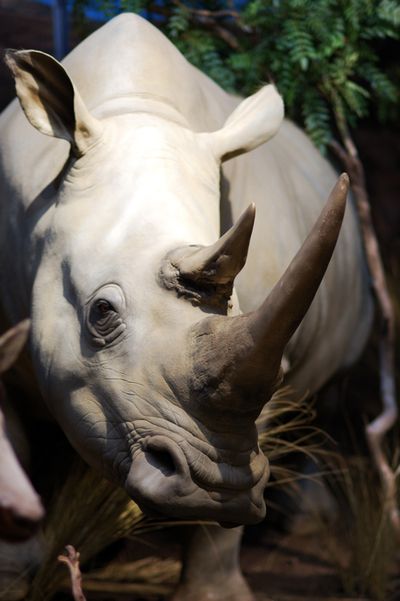  (The Spokesman-Review)