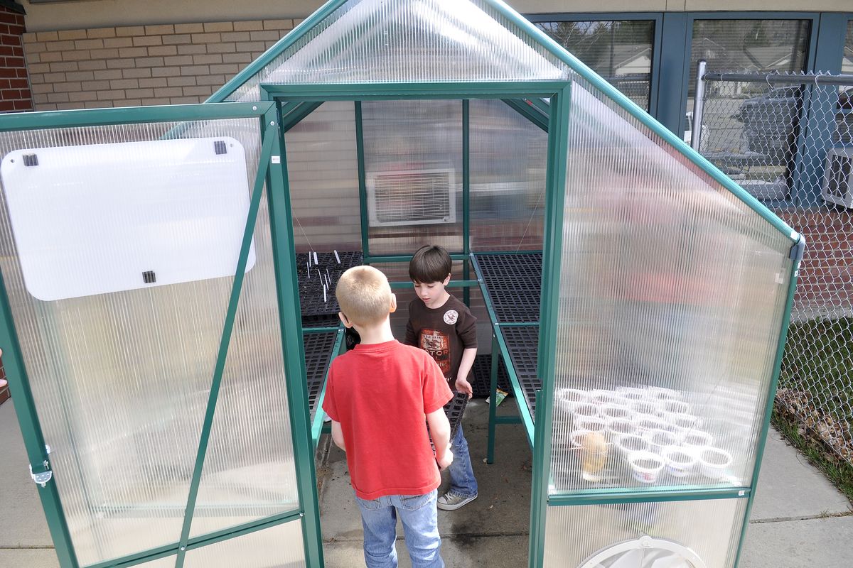 First-graders Dayton Larson, in red, and Max Dillon carry a filled and planted tray into the new greenhouse at University Elementary April 13. The new greenhouse is being used for the first time this spring. (Jesse Tinsley)