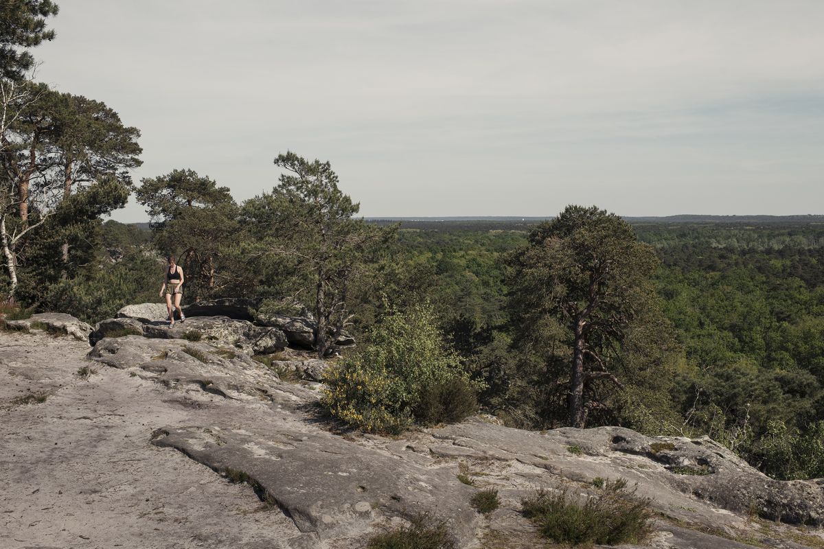 A visitor in the Forêt Domaniale de la Commanderie area of the Forest of Fontainebleau in France on May 10. More than 30 million years ago, a sea covered the area – when the waters receded, sand dunes and sandstone rock formations were left behind.  (DMITRY KOSTYUKOV/New York Times)