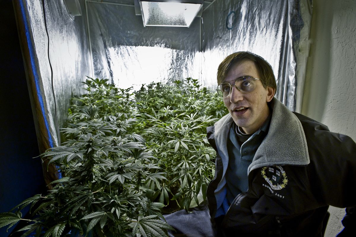 Richard Lee is the president of Oaksterdam University, a pot-growing school, in Oakland, Calif., where small growers could be hurt by pot factories.