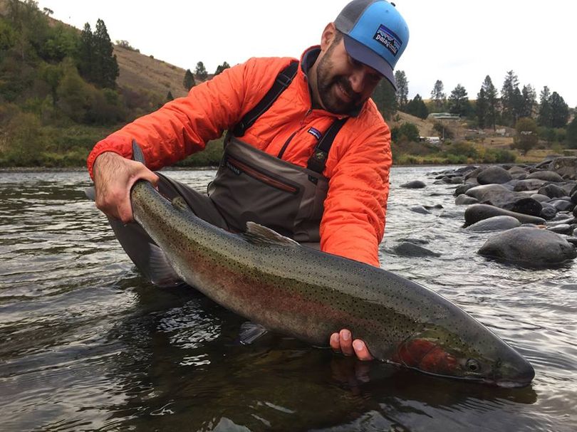 Mark Poirier releases a 36-inch Clearwater River steelhead. (Silver Bow Fly Shop)