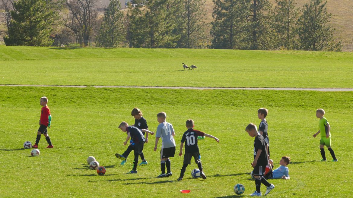 plantes-ferry-sports-complex-topical-coverage-at-the-spokesman-review