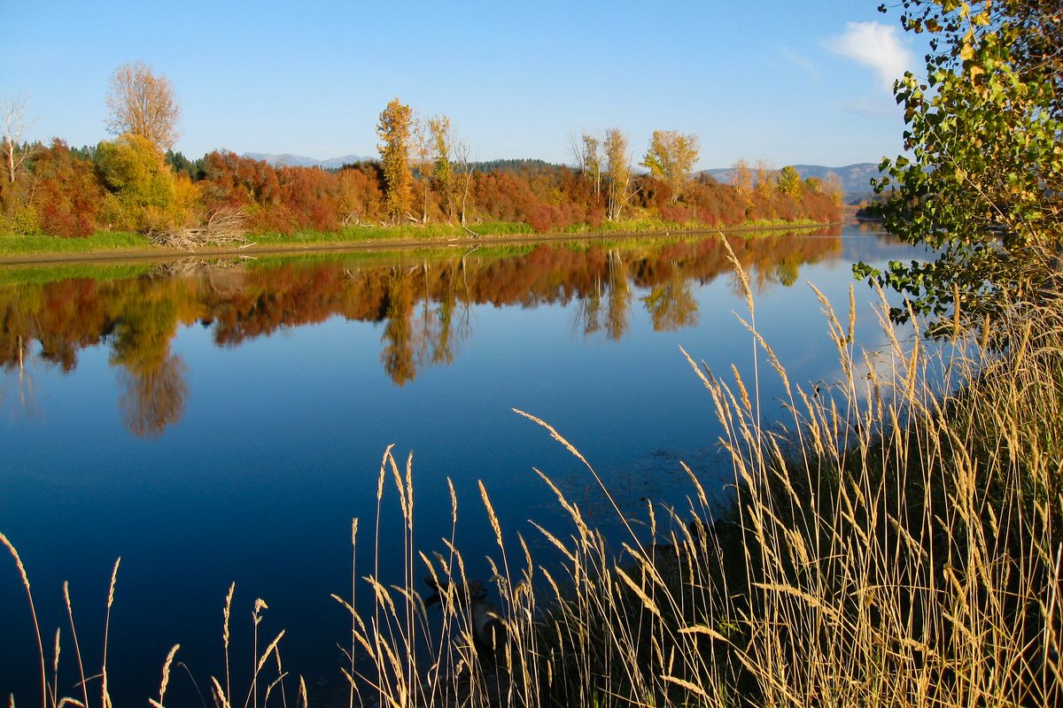 The brilliant fall colors are reflected in the Kootenai River.  (Andrea and Dave Kramer / Stampede Lake Studio)