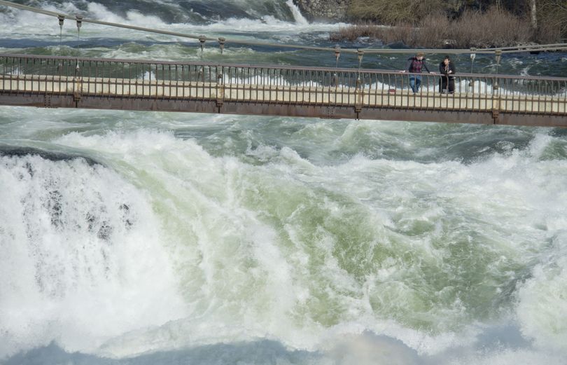 Power wash: Strollers stand above the thunderous cataract of the Spokane River’s upper falls during spring runoff with the river running about 15,000 cubic feet per second. (Jesse Tinsley)