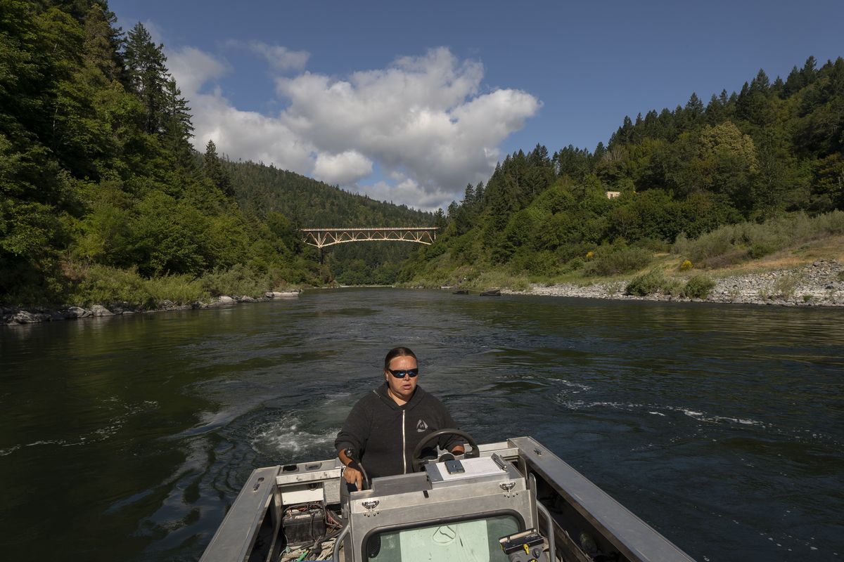Jamie Holt, lead fisheries technician for the Yurok Tribe, maneuvers a boat near a fish trap in the lower Klamath River on Tuesday, June 8, 2021, in Weitchpec, Calif. A historic drought and low water levels are threatening the existence of fish species along the 257-mile long river. "When I first started this job 23 years ago, extinction was never a part of the conversation," she said of the salmon. "If we have another year like we