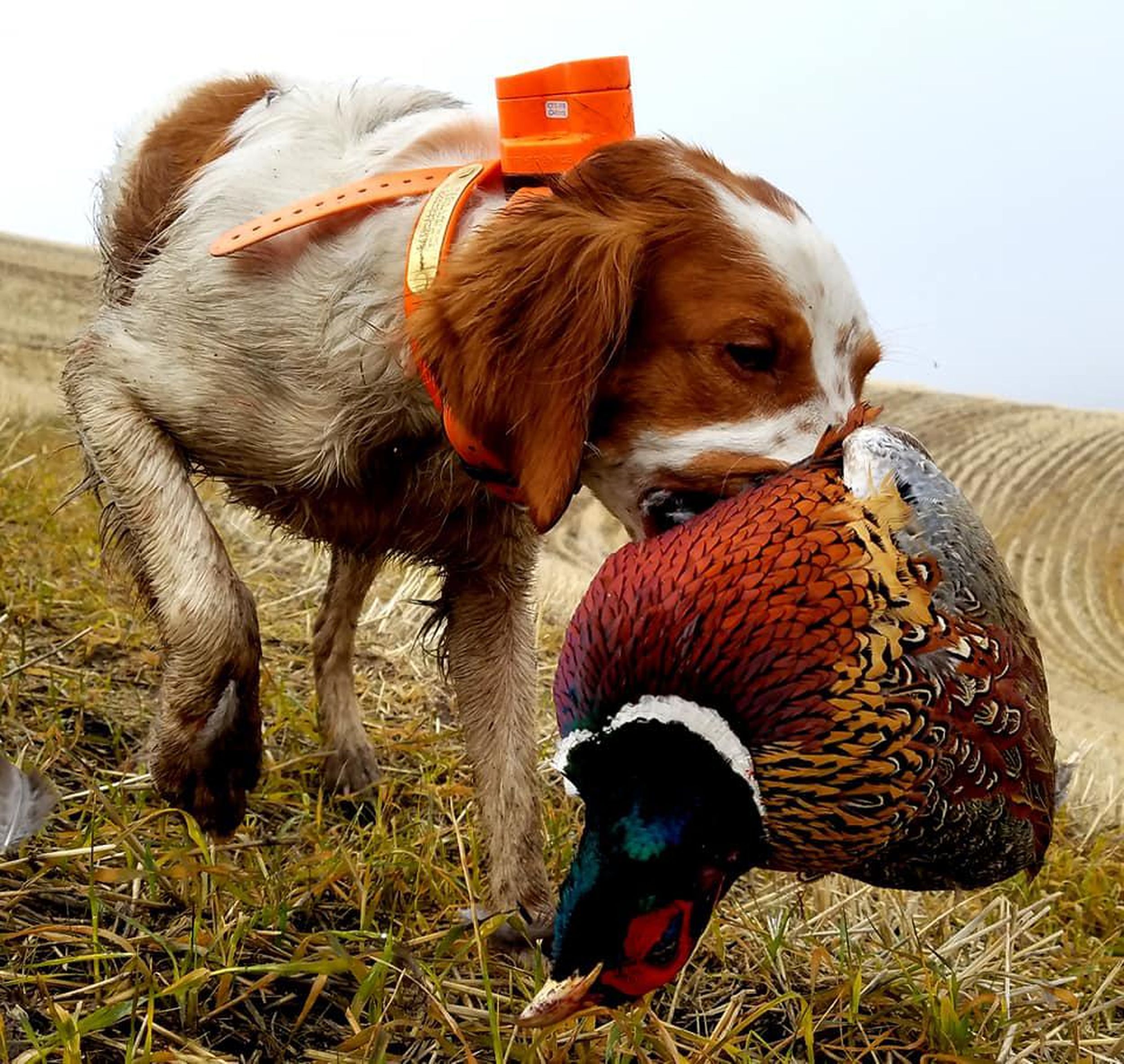 Getting the point Jan. 25, 2020 The SpokesmanReview